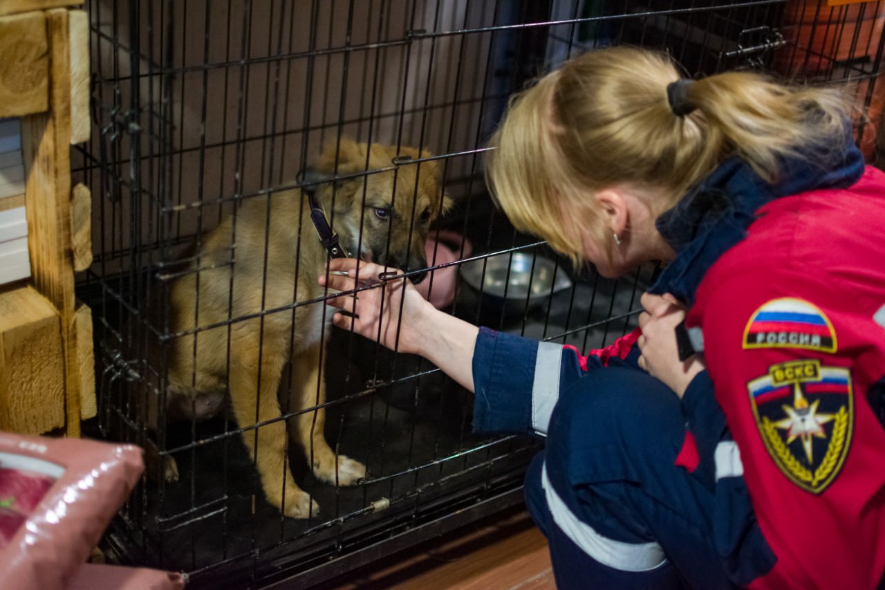 Гуманитарная миссия в Донецкой Народной Республике Гуманитарная миссия в Донецкой Народной Республике