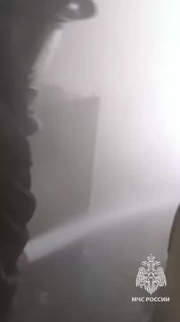 На страже жизни: макеевские пожарные спасли мать и сына в Кировском районе