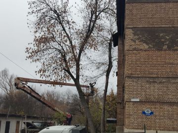 12 ноября, с целью обеспечения безопасности жизнедеятельности населения и предупреждения возникновения аварийных ситуаций проведены работы по обрезке деревьев возле дома № 45 по ул. Кирова