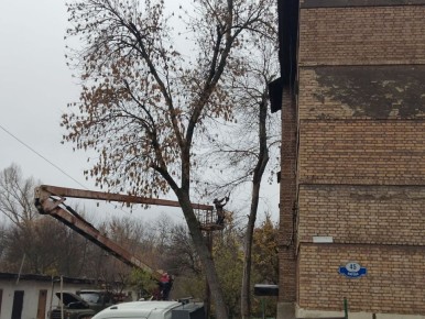 12 ноября, с целью обеспечения безопасности жизнедеятельности населения и предупреждения возникновения аварийных ситуаций проведены работы по обрезке деревьев возле дома № 45 по ул. Кирова