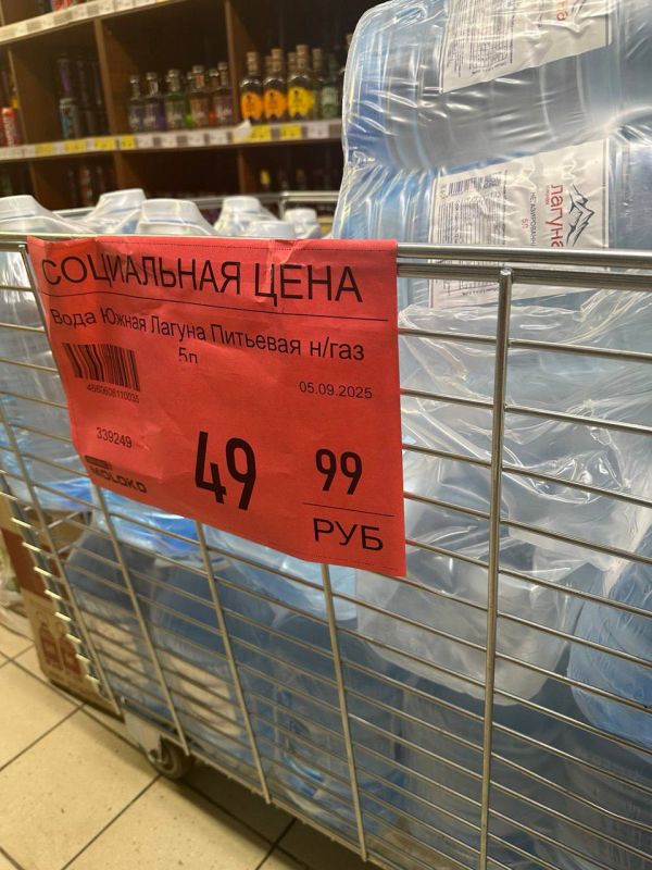 � 239 ��������� ��� ����� ������ ���� �� ���������� ����