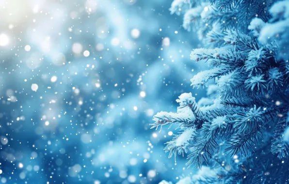 ��������� �������-�������� �����������-����������� ���������� �����-���� ��������