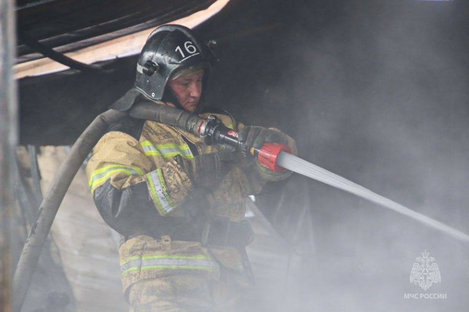 ���� � ����� ������� ������ � ��������� ������ �������� � ��������� �����-������ ���