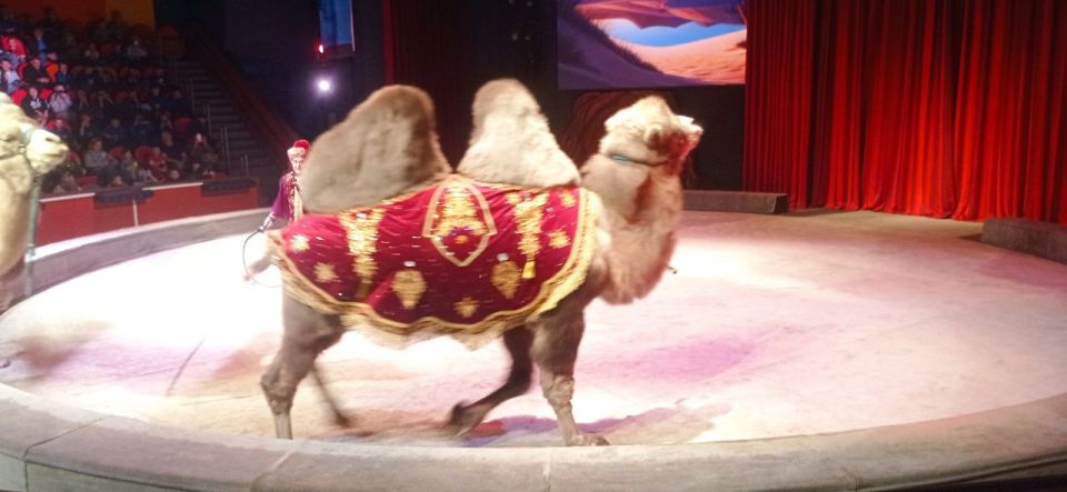 ����� ����������. �������, 15 ������ 2025 ����, � �����, ���������� � ����� �� "�������" � ������ ������� "���� ������ - ����� ��������", ��� ����, ����������� ����������