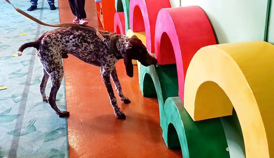 � ����� � ������� ����� "������� ��� � 7 �.�. ��������" ��� ��������� ���� ��������� ��������� - �������� �� ������ �������������� ������ ���������� ���������� ��� ���������� ��������� �����������