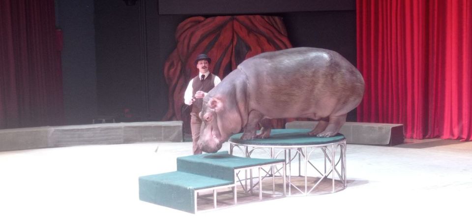 ����� ����������. �������, 15 ������ 2025 ����, � �����, ���������� � ����� �� "�������" � ������ ������� "���� ������ - ����� ��������", ��� ����, ����������� ����������