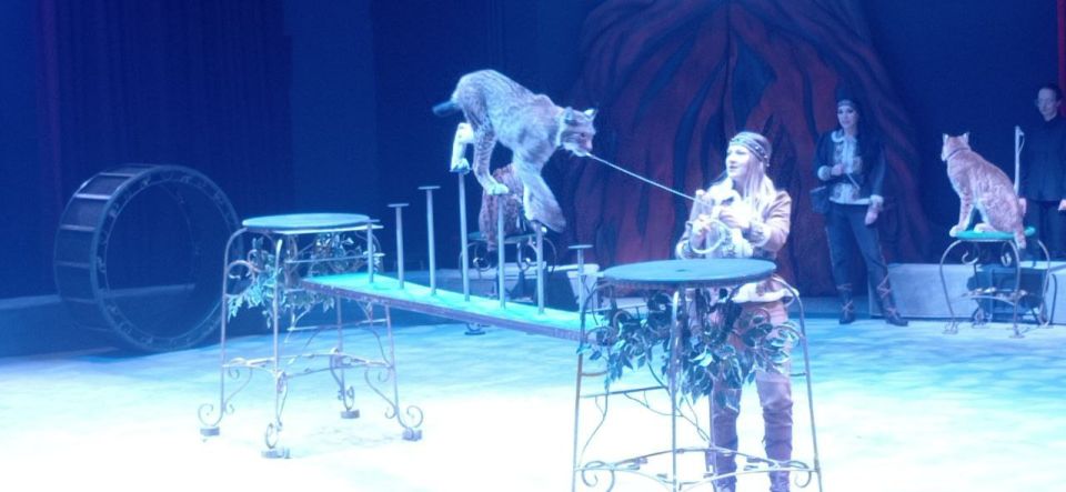 ����� ����������. �������, 15 ������ 2025 ����, � �����, ���������� � ����� �� "�������" � ������ ������� "���� ������ - ����� ��������", ��� ����, ����������� ����������