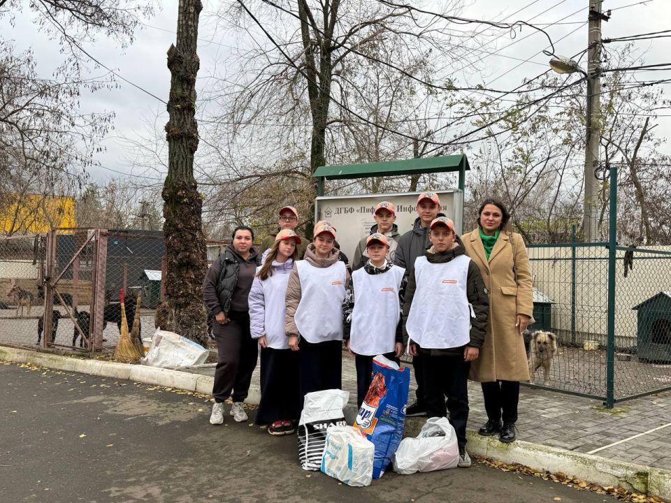 �������� ������������. #�����_������� #�������� #�������_�������