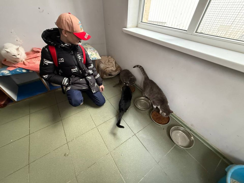 �������� ������������. #�����_������� #�������� #�������_�������