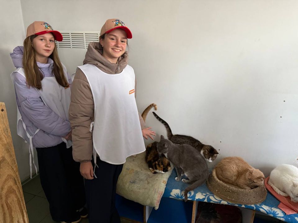 �������� ������������. #�����_������� #�������� #�������_�������