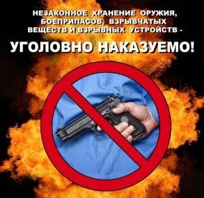 Житель г. Макеевки осуждён за незаконное приобретение, хранение боеприпасов, взрывных устройств