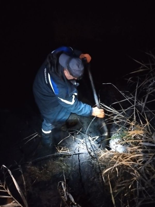 21.11.2025 � 14:30 ������������� ������� ��� ��� �����������̻ ���� ������������� ����������� ������������� ���������-���������� ����� ����� (���-48/0) ����� ���������������� ���������� �����������, �� ����������� �. ������-...