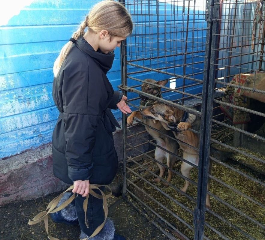 ������ ����������� ������ ������� � ������� �������� �� ��� �������, �� ������� ��������� �������������� ���������� ���������� ���������� ������ �������� ��. �. �. ����������, ������ �������� ����ǻ, � ������ �������...