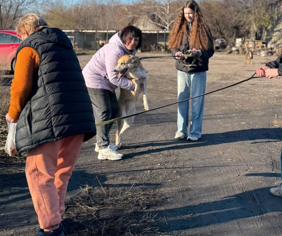 #����� #���������� #������������ #��80 #������_���������_���� #��� #�������� #�������������������� #���������������� #���������������� #��������������2025