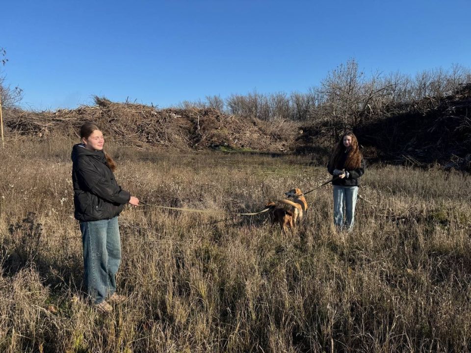 Собака заслуживает теплую лежанку и вкусную косточку из рук хозяина, но сегодня активисты Муниципального бюджетного учреждения «Городской дворец культуры им. В. Г. Кирсановой», Дворец культуры «ЯКХЗ», в рамках проекта...