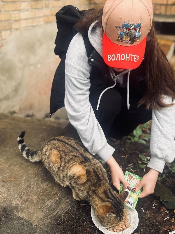 ������� ����, �������� ������