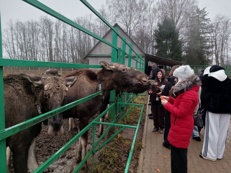 Сегодня, 03 декабря 2025 года, участники проекта «Больше, чем новогодняя сказка» путешествовали по Костроме Сегодня, 03 декабря 2025 года, участники проекта «Больше, чем новогодняя сказка» путешествовали по Костроме