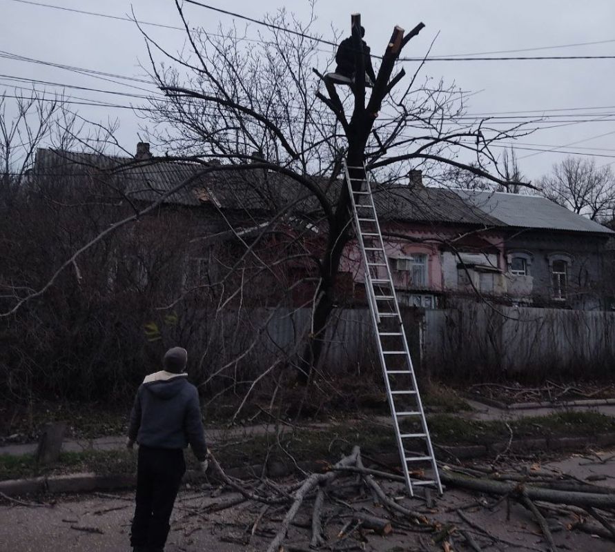 �����, 8 �������, � ����� �������������� ������������� ���������� ������� � ���������� � �������������� ��������� �������� ������� ���������� ���������������� ������ ������������� ���������� ������ �������� ������������...