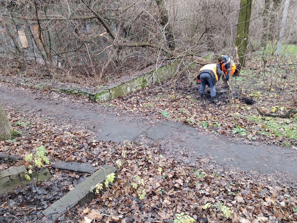 �������, 10 �������, �� ��������� ��������� �������� ��� �� �������� ����� ������ ������ ��� ��� ������������ ��������� ������ �� ������� ������� �������� �������� ����������� �� ����� ���������������� � ������ ����� � 17 �...