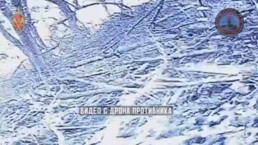 Били по ТЭС и ж/д узлу: "Купол Донбасс" за неделю уничтожил 295 украинских дронов