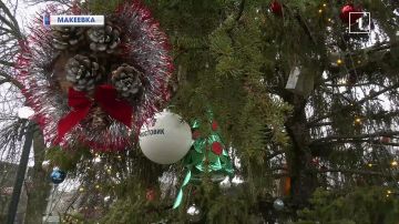 Подарок от Деда Мороза: «изумрудная гостья» из Великого Устюга в Макеевке! Кто получил подарки?