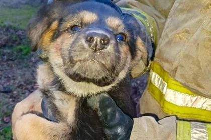 ��������� ������ �������: � �������� ���������� ��� ������ �����