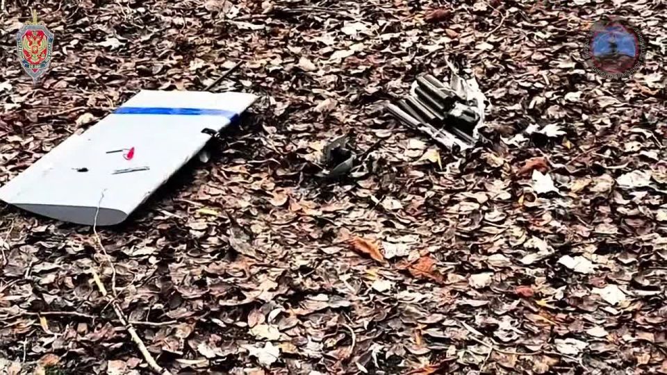 Глава ДНР Денис Пушилин сообщил, что системой РЭБ «Купол Донбасса» за неделю предотвращены 252 террористические атаки противника