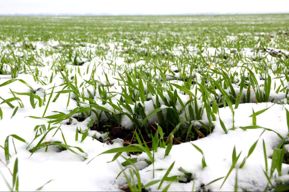 � 2026 ���� � ���������� ��������� 16 ����� ������ ���