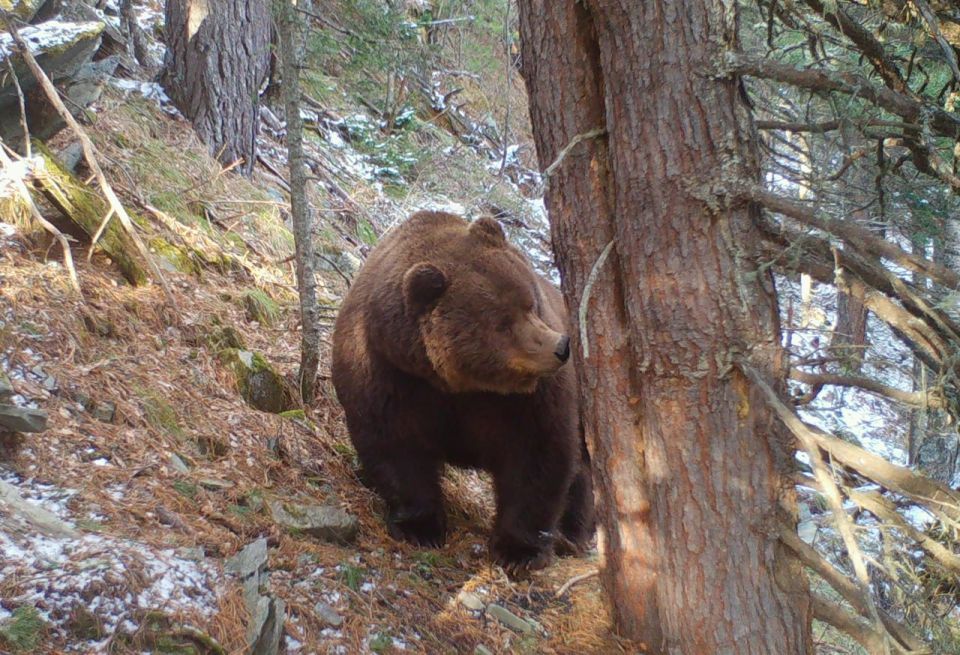 #* �������� ���������� �������� �� �������� � ����� ����