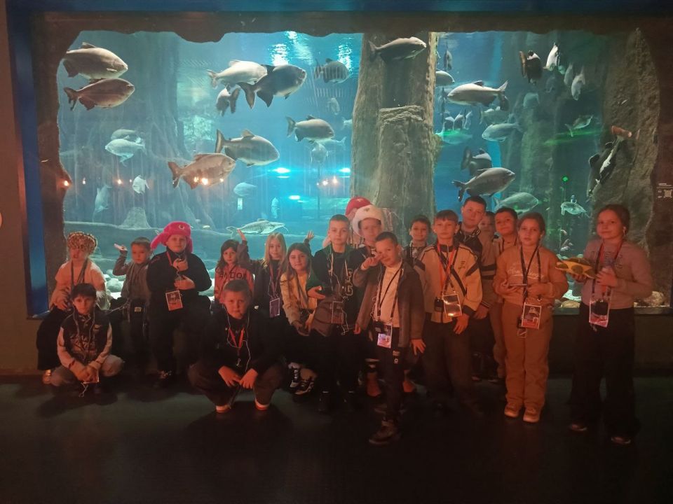 ���� ������ ��������, ��� �������� ��������� � ����������� ������� ��������, ���� ���������� �� �������������� ���� � ��������������� ���������� ������