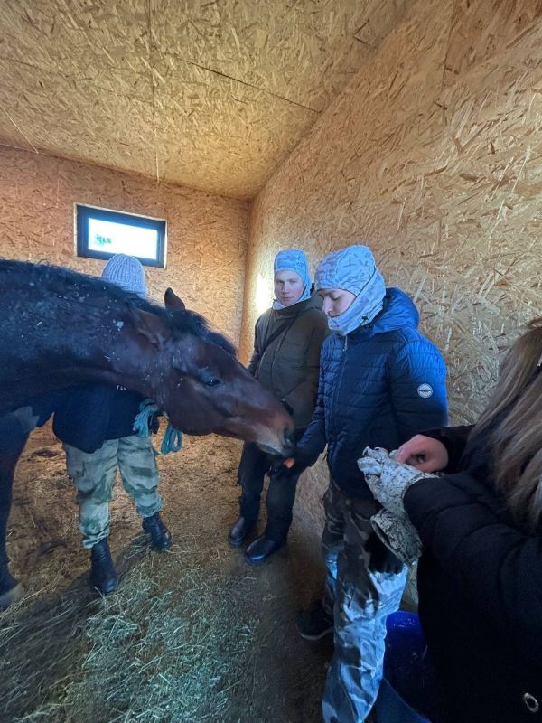 26 ������� 2025 ���� � ��������� ���� ��� ����� �� ���� "�� � 50 �.�. ��������"