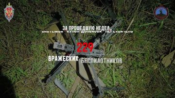 ����� ��������� ������� ����������: ������ �������� ���������� 229 ���������� �������������