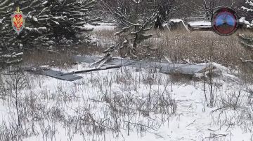 �������� ��� ������ �������� �� ������ ������������� 198 ���������������� ����, ������������� 156 ������������� ��� �������� � ���������, � ����� 42 ��� ���������