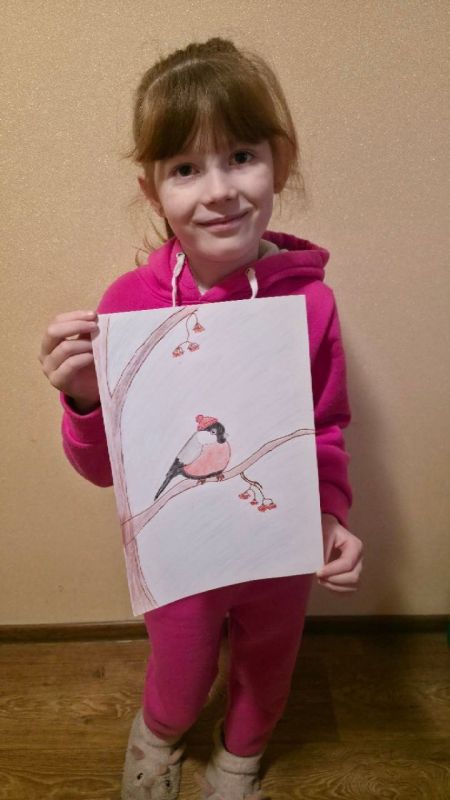 9 января — День Снегиря. Юные художники продемонстрировали свои творческие способности, создав серию замечательных рисунков 9 января — День Снегиря. Юные художники продемонстрировали свои творческие способности, создав серию замечательных рисунков