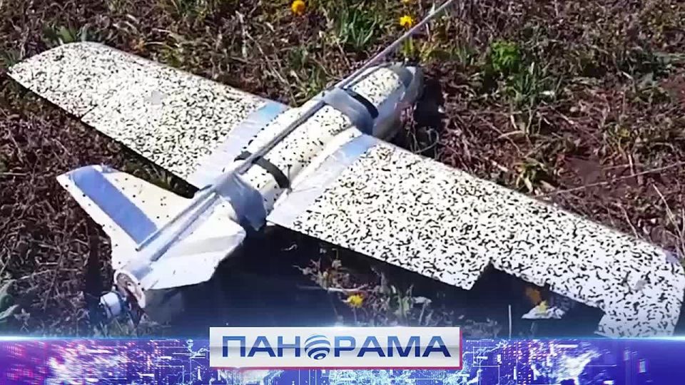 �������, ����������� �������� ��������! 252 ����� ������������� � ���� ��� ��������!