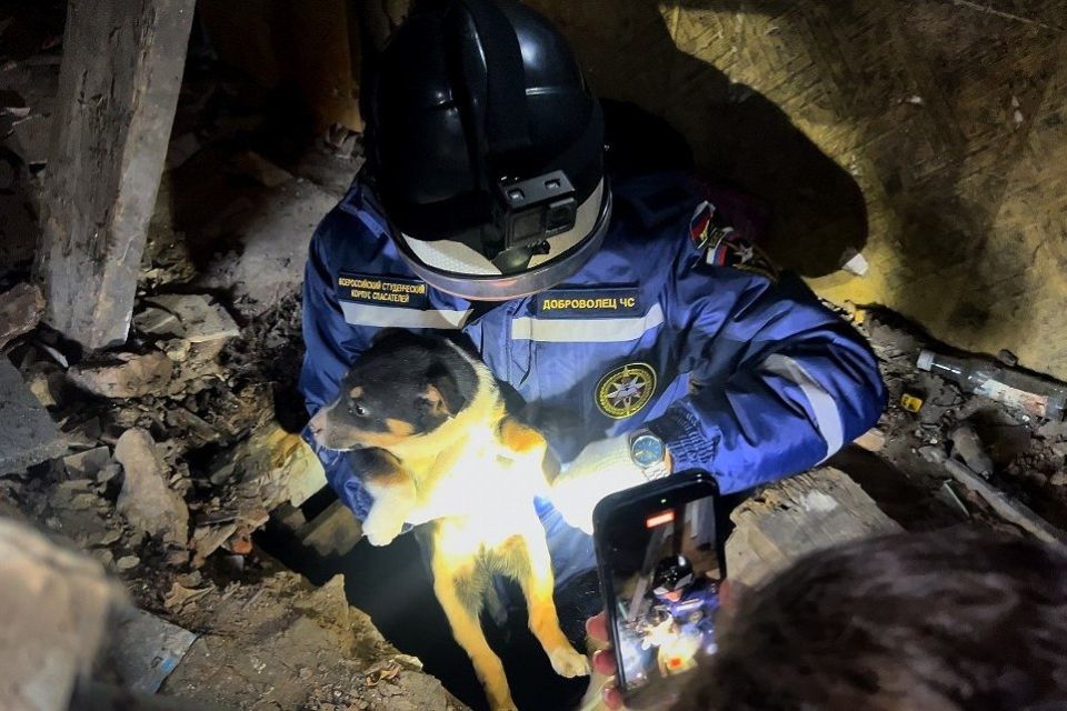 ���� ���� �������� �����: ��������-��������� ������������ ����� �� ������� ������������ ����