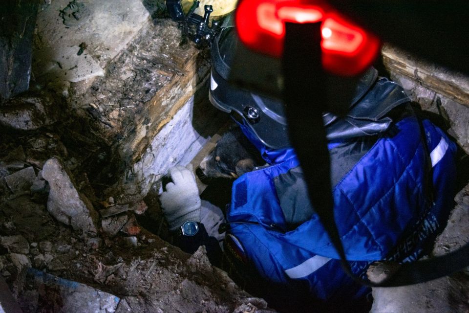 ������ �� �������. �������� ��� � ������ ���