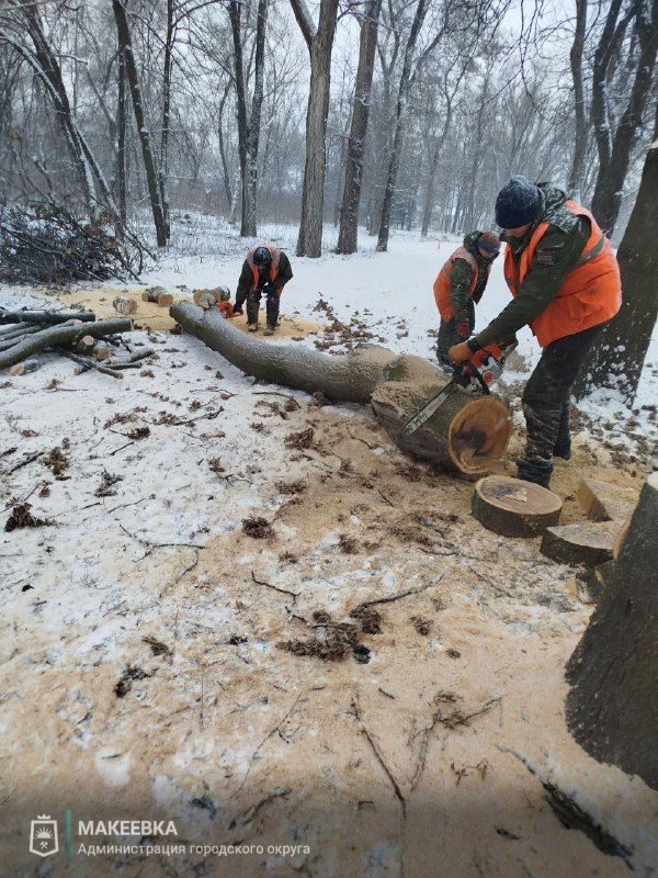 Выполненные работы в сфере ЖКХ 15 января
