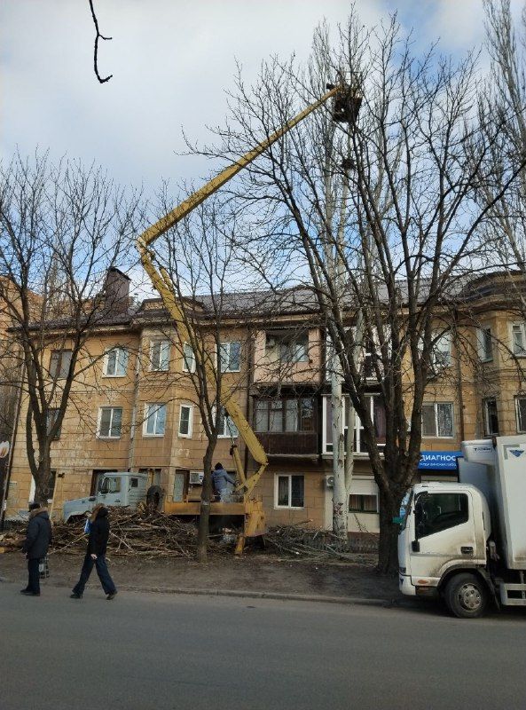 Владислав Ключаров: В Макеевке усилены работы по ликвидации аварийных и сухостойных деревьев Владислав Ключаров: В Макеевке усилены работы по ликвидации аварийных и сухостойных деревьев