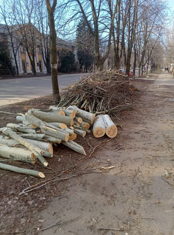 ��������� ��������: � �������� ������� ������ �� ���������� ��������� � ����������� ��������