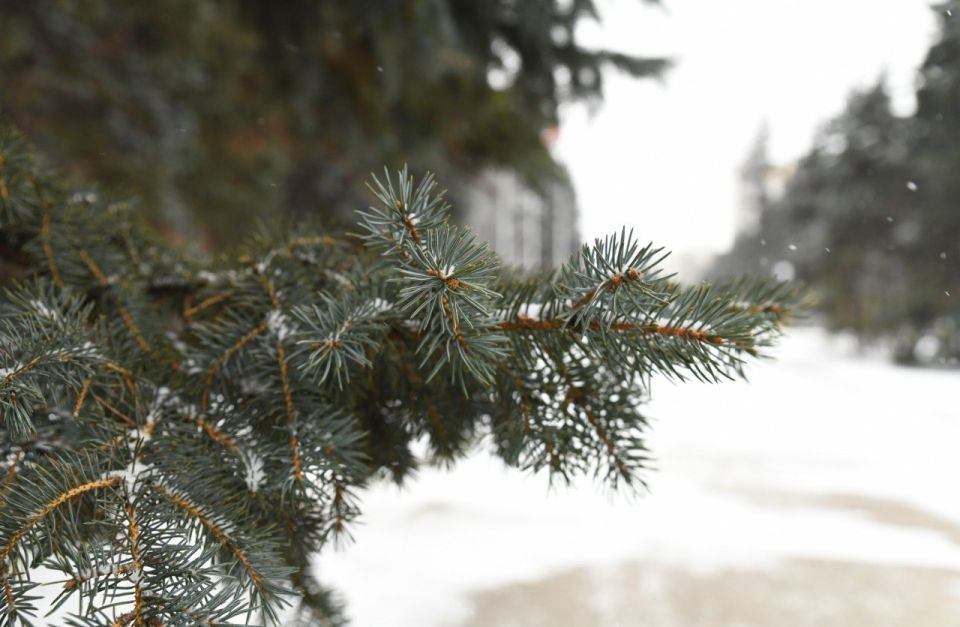 �������� �����