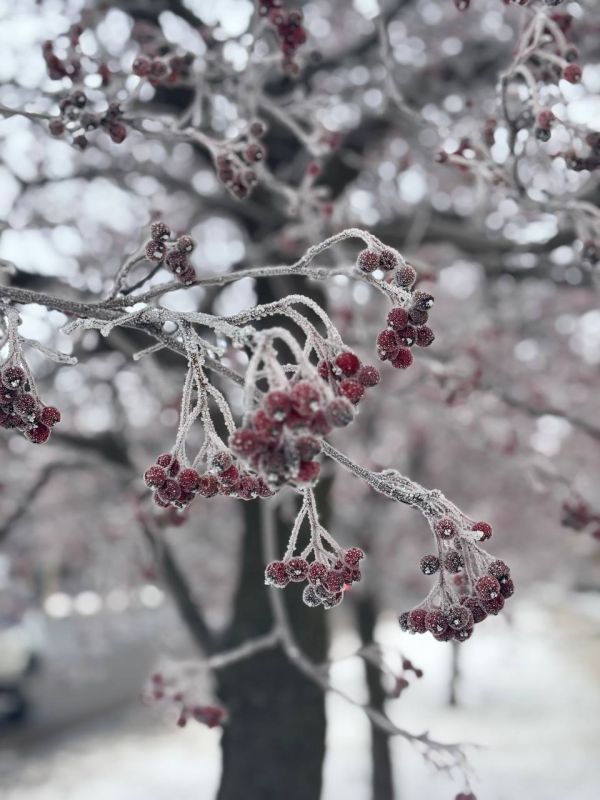 �������� �����