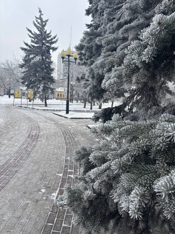 �������� �����