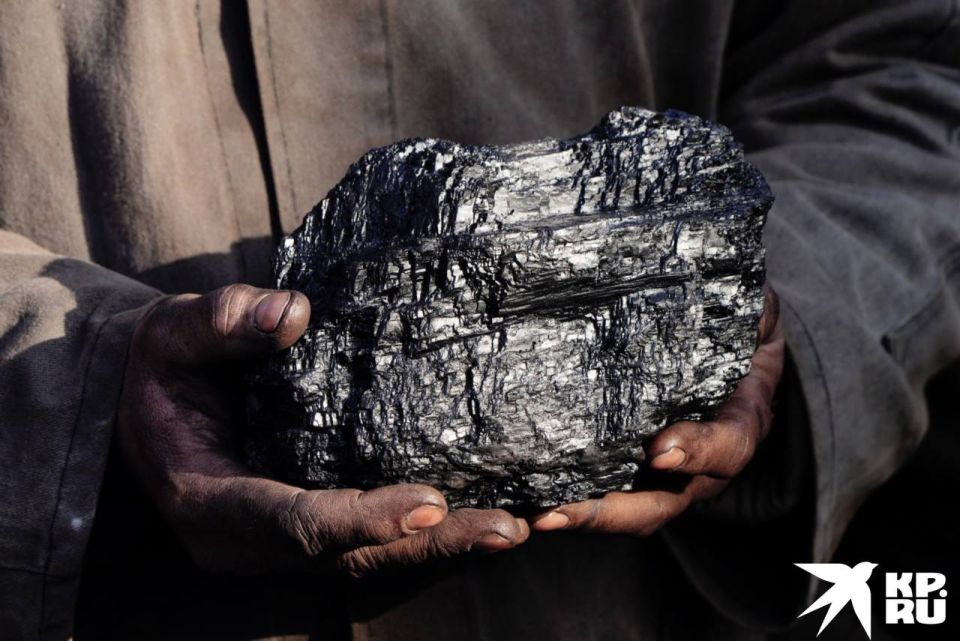 � ��� ������� ����� ����������������� ���� �� ����� �������-95�