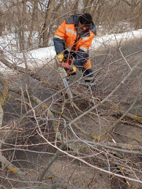 � �������������� ������ ���������� ������������� ����������� ��������� �� ������� ������ �����������