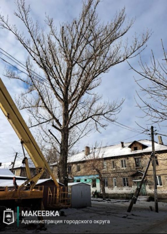 ����������� ������ ������������� �������� 30 ������