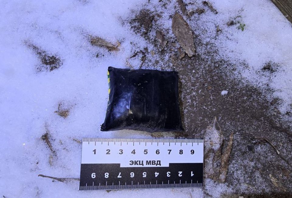 Стражи правопорядка пресекли попытку незаконного сбыта наркотиков Стражи правопорядка пресекли попытку незаконного сбыта наркотиков