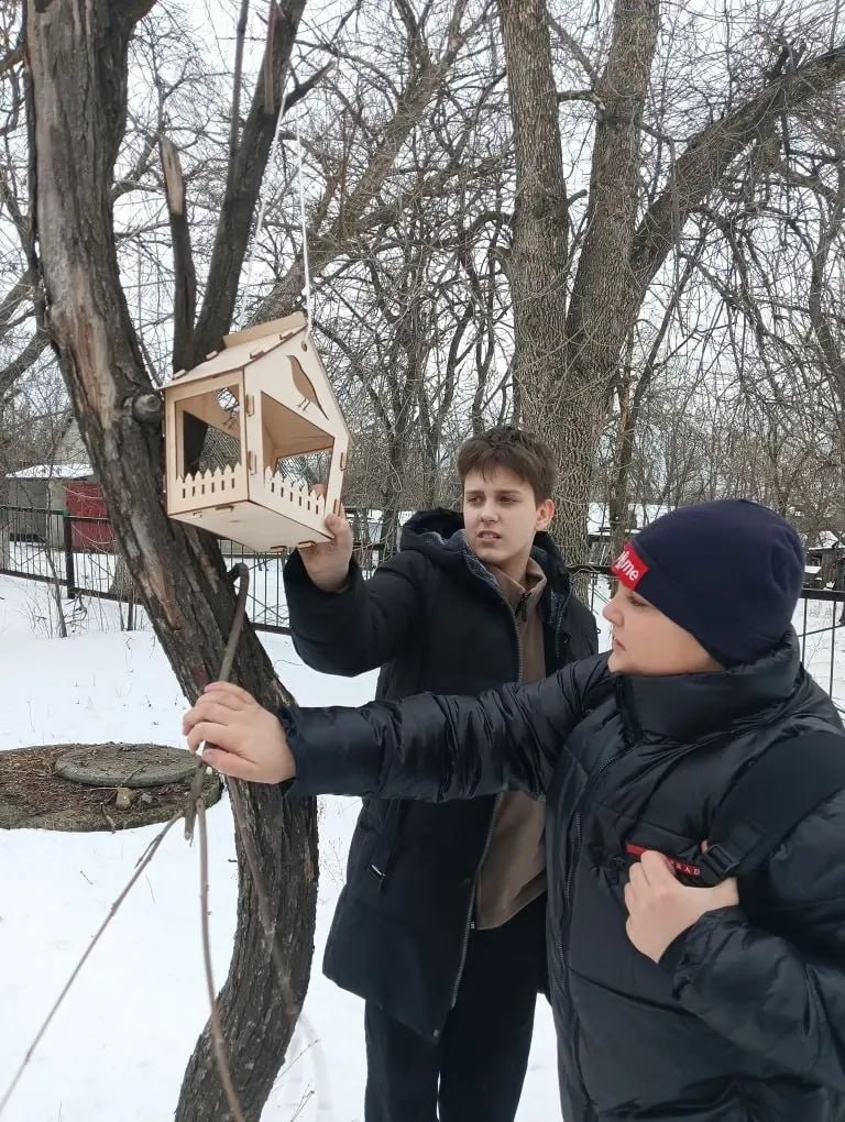 Зима – суровое время для пернатых Зима – суровое время для пернатых