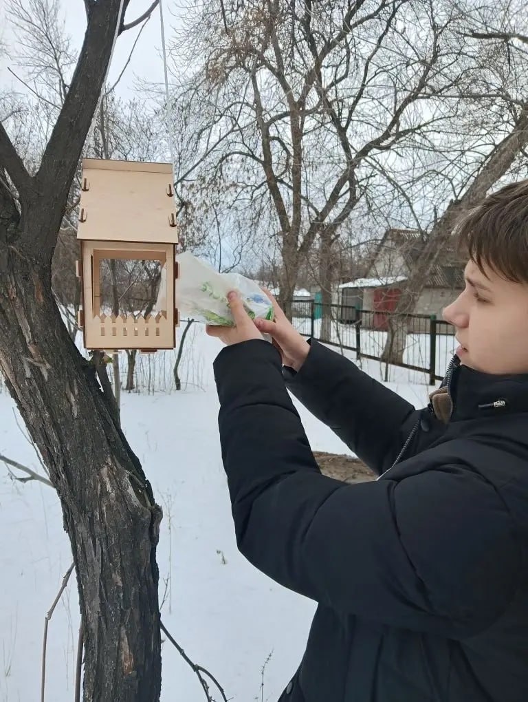 Зима – суровое время для пернатых Зима – суровое время для пернатых