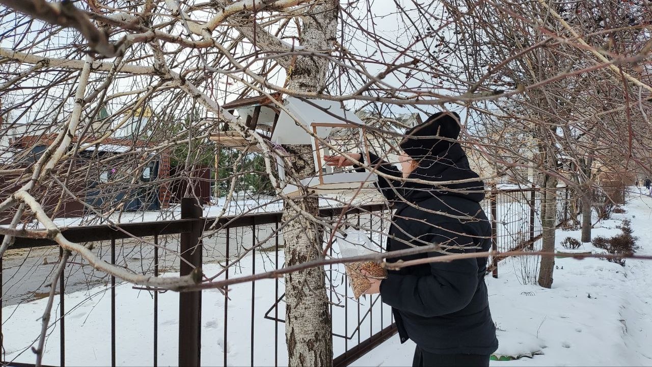 Зима – суровое время для пернатых Зима – суровое время для пернатых